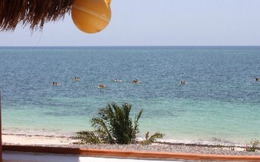 «BEST PRIVATE BEACH FRONT» CONDOS & PENTHOUSE