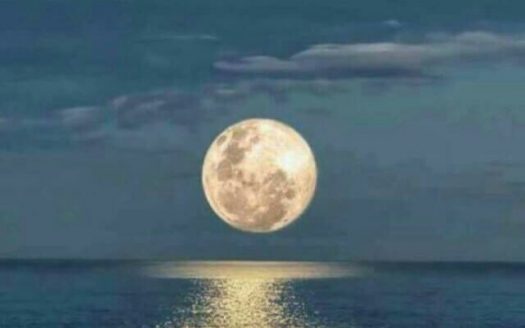 «BEST PRIVATE BEACH FRONT» CONDOS & PENTHOUSE