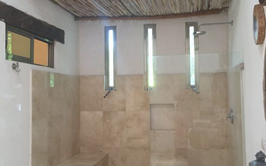 MEXICAN HACIENDA STYLE HOME