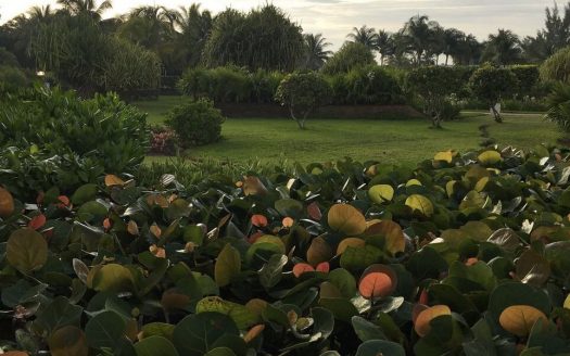 CANCUN RENTALS PUERTA DEL MAR AMARA 1B PH2